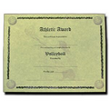 Stock Female Volleyball Antique Parchment Certificate